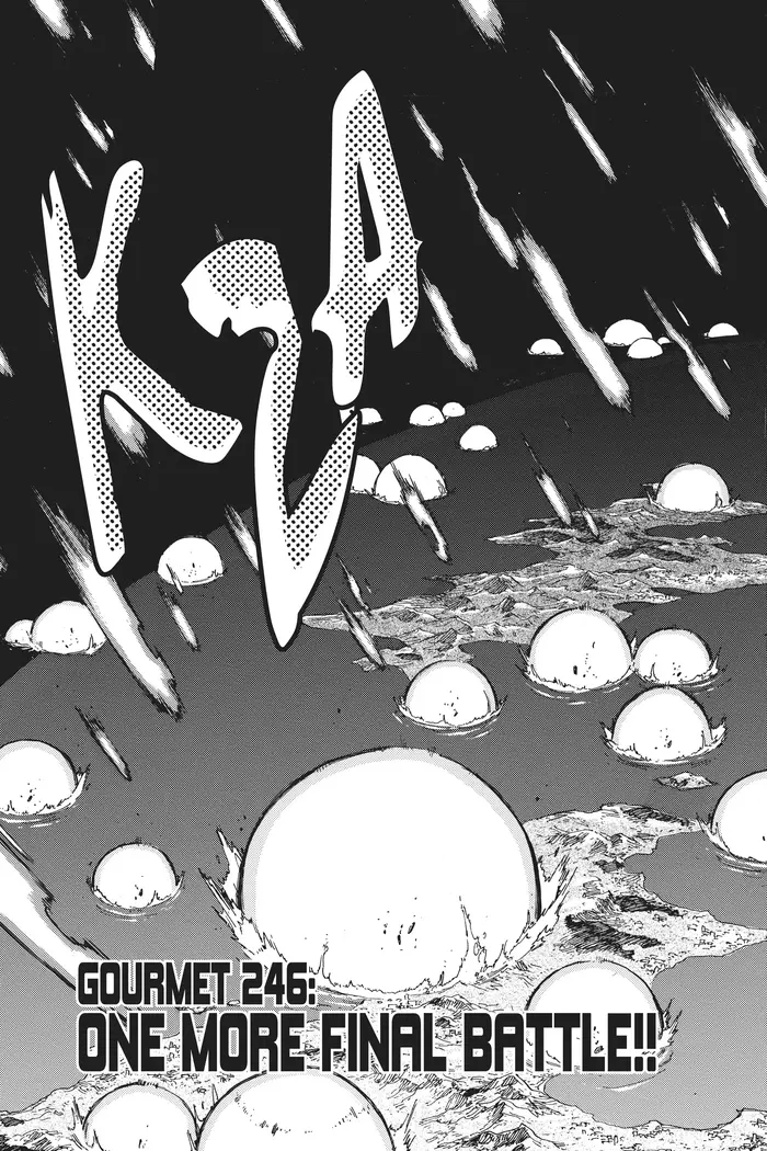 Toriko Chapter 246 image 03_optimized
